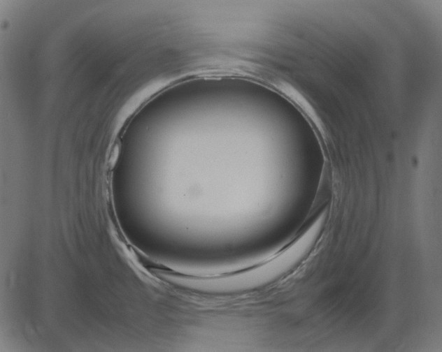 X0000082701485200702091710