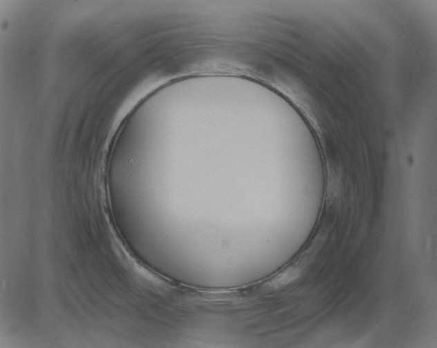 X0000082701486200702091710