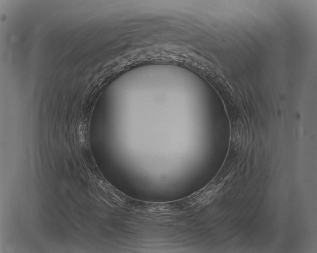 X0000082701490200702091709