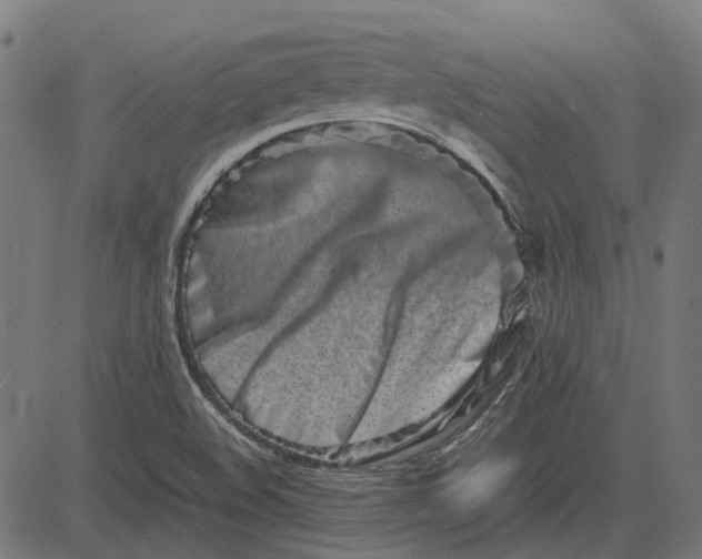 X0000082701508200702091709