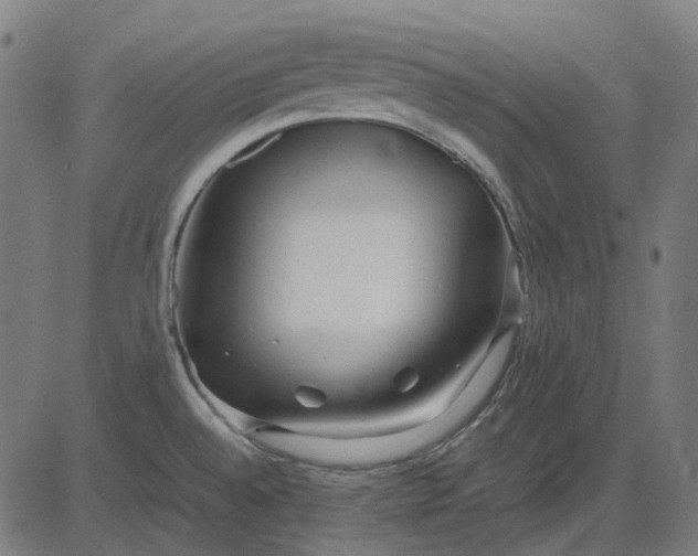 X0000082701528200702091710