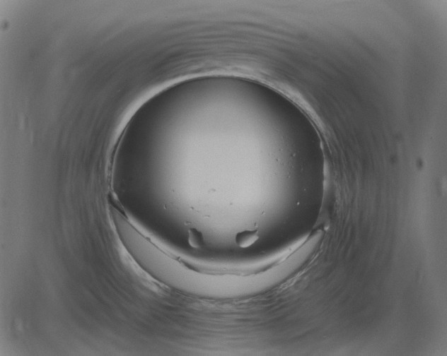 X0000082701532200702091710