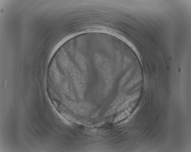 X0000082701533200702091710