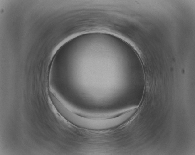 X0000082701534200702091710