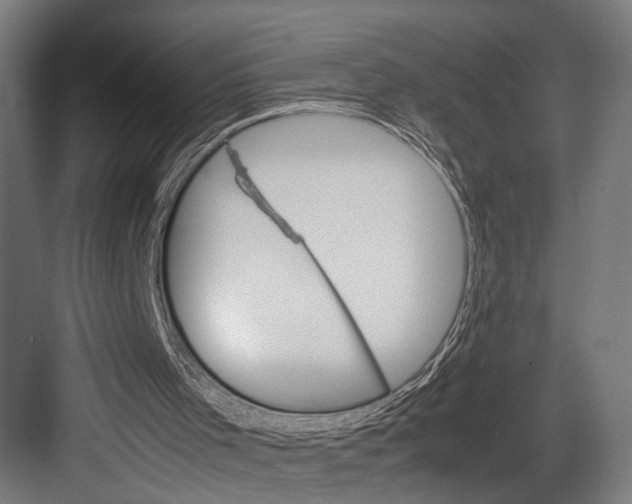 X0000082700001200702161802