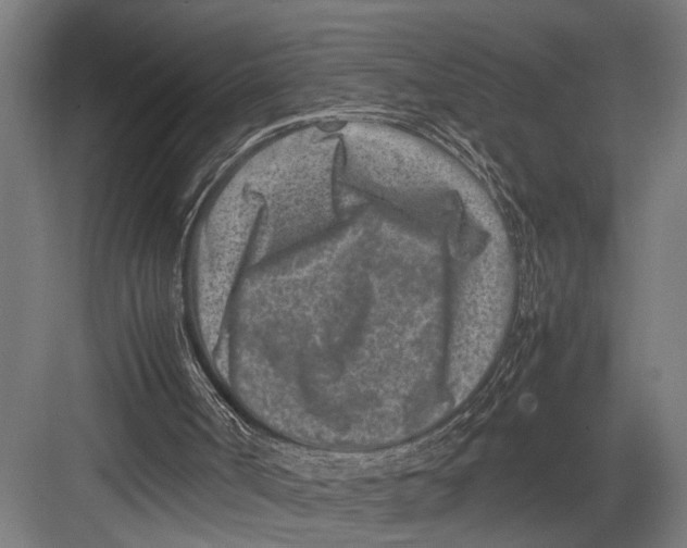 X0000082700002200702161802