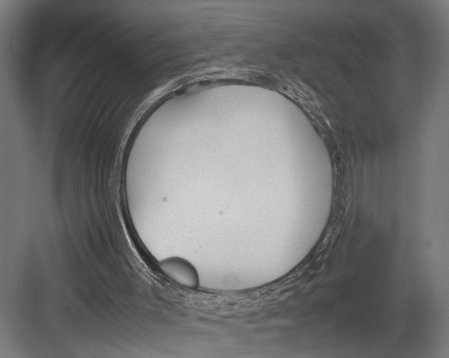 X0000082700003200702161802