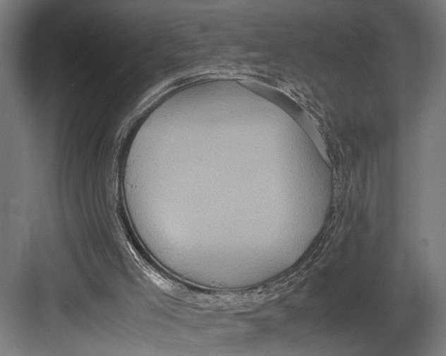 X0000082700005200702161802