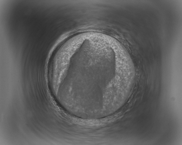 X0000082700006200702161802