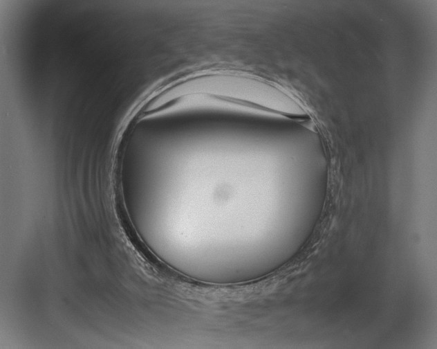 X0000082700007200702161802