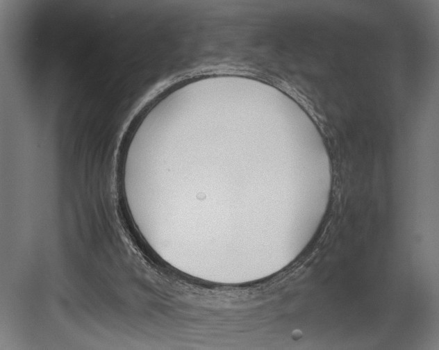 X0000082700008200702161802