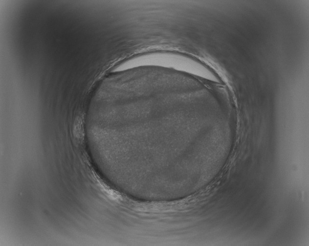 X0000082700009200702161802