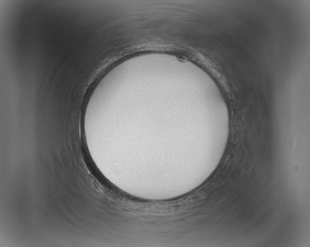 X0000082700011200702161801