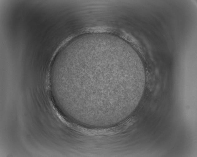 X0000082700012200702161801