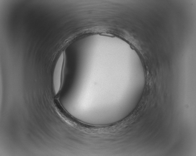 X0000082700013200702161801