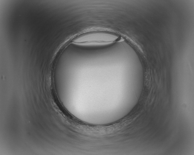 X0000082700015200702161801