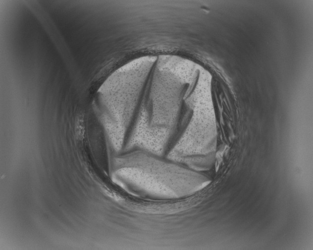 X0000082700017200702161801