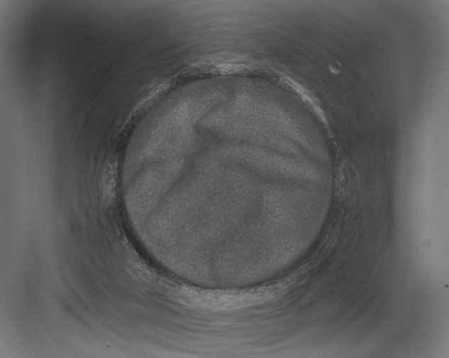 X0000082700018200702161801