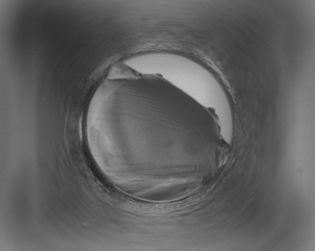 X0000082700019200702161801