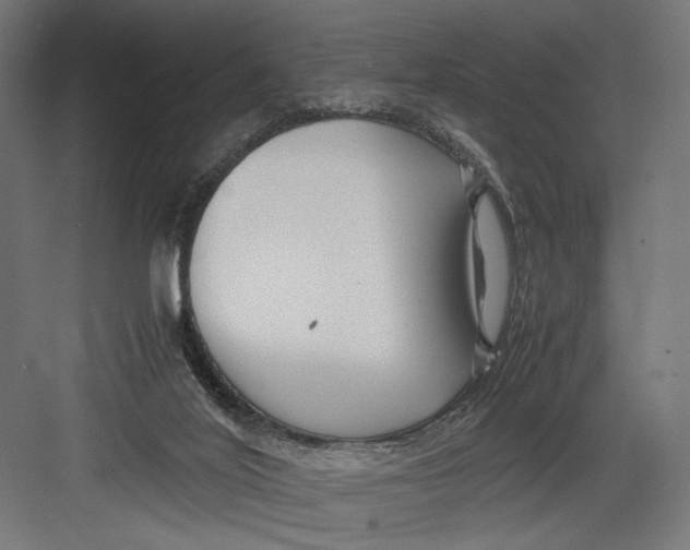 X0000082700020200702161801