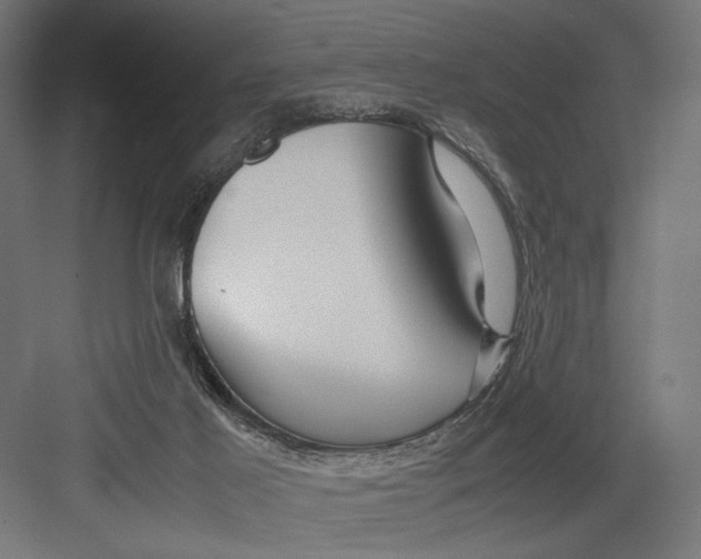 X0000082700021200702161801