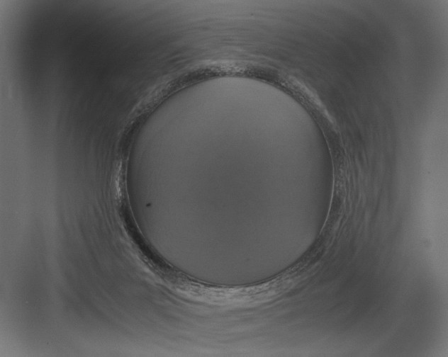 X0000082700023200702161801