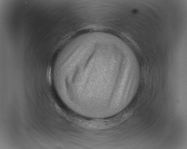 X0000082700024200702161801