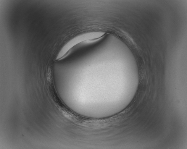 X0000082700025200702161801