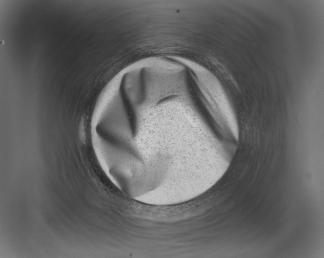 X0000082700026200702161801