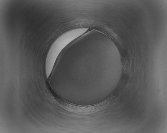 X0000082700027200702161801