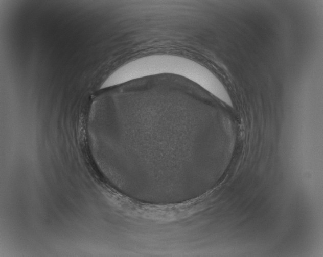 X0000082700029200702161801