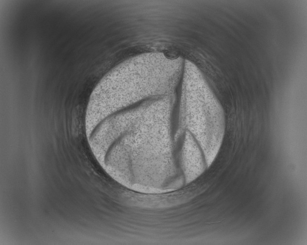 X0000082700030200702161801