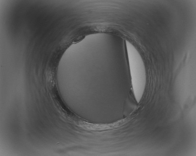 X0000082700031200702161801