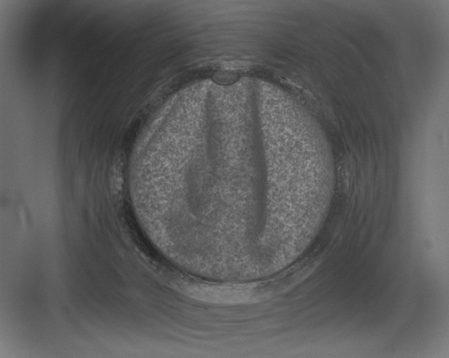 X0000082700032200702161801