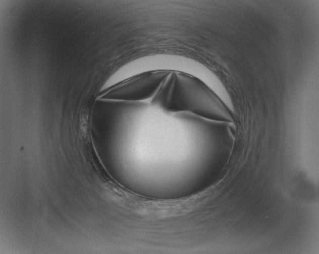 X0000082700033200702161801