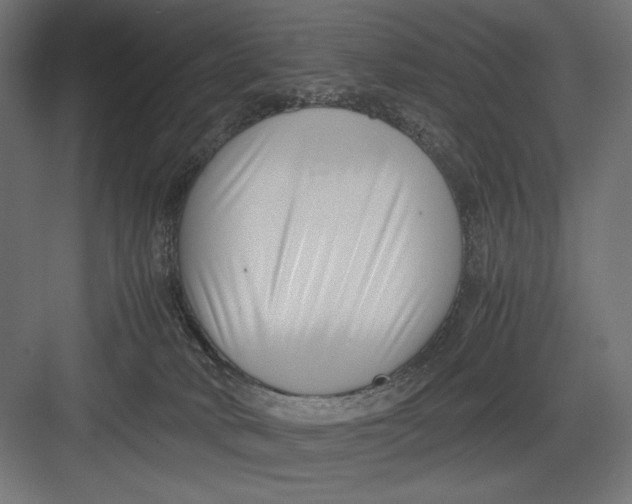 X0000082700034200702161801