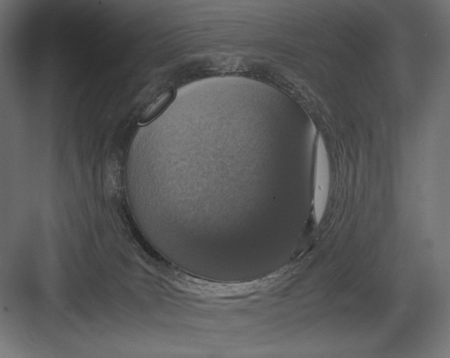 X0000082700035200702161801