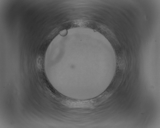 X0000082700036200702161801