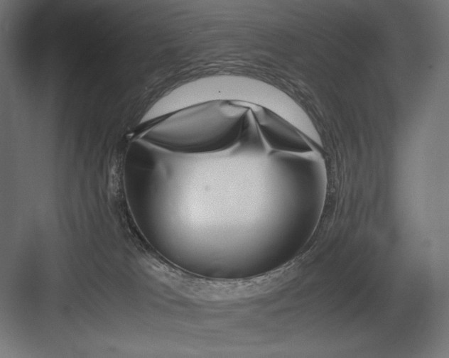 X0000082700037200702161801