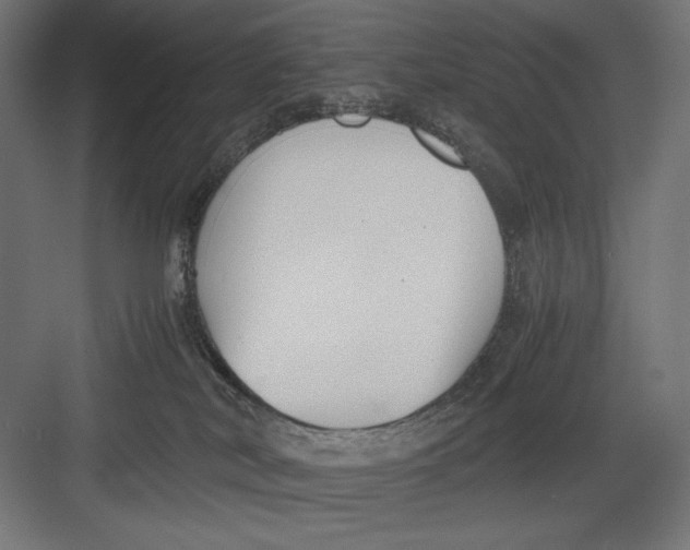 X0000082700038200702161801