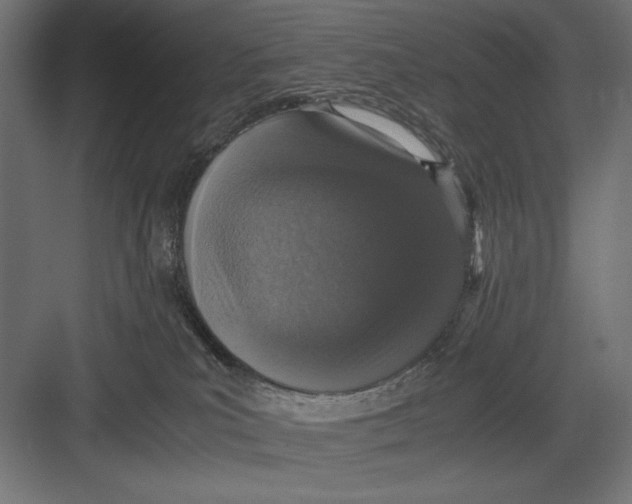 X0000082700039200702161801