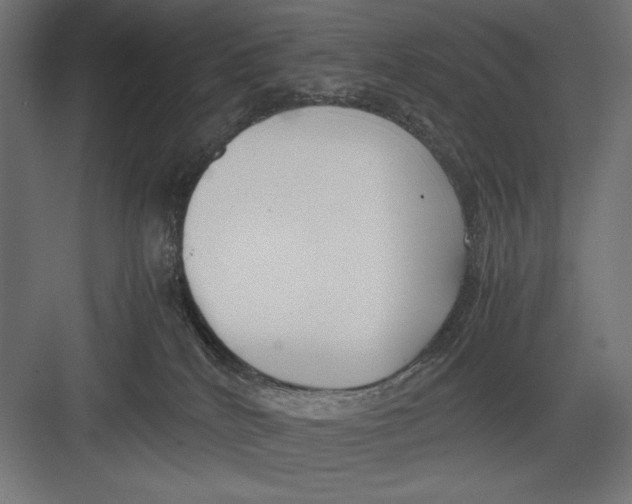 X0000082700040200702161801