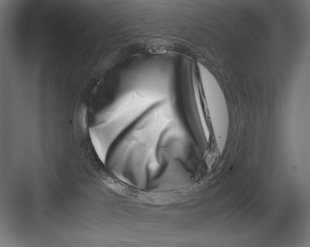 X0000082700041200702161801