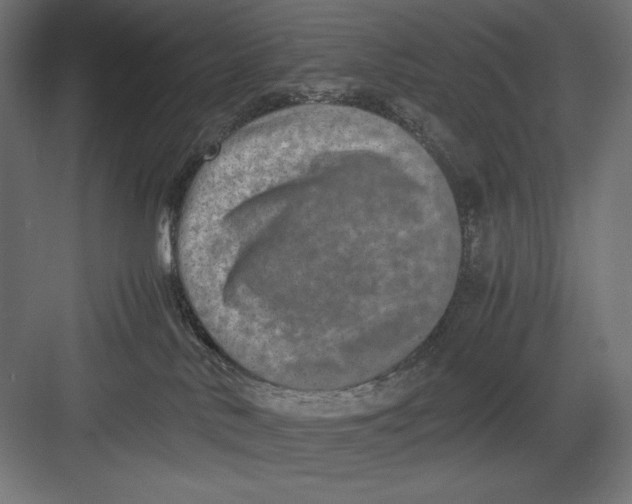 X0000082700042200702161801