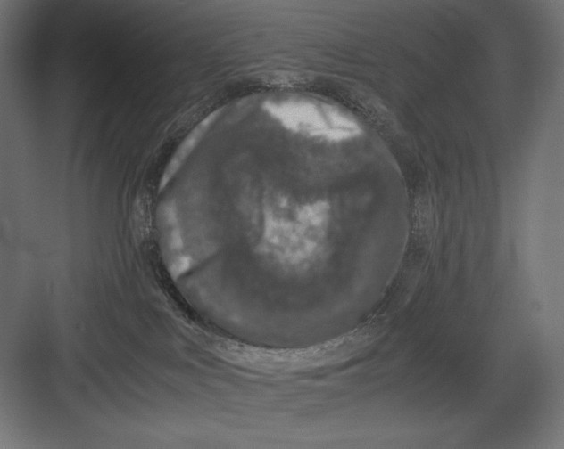 X0000082700043200702161801