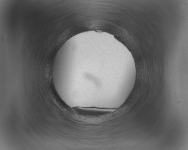 X0000082700044200702161801