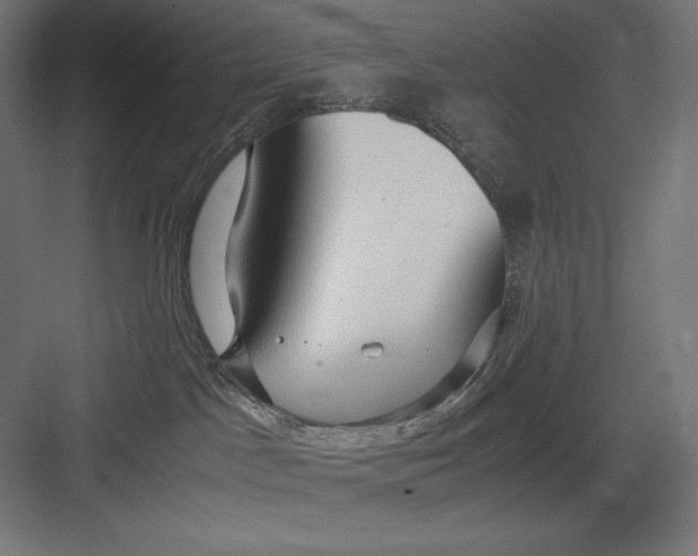 X0000082700045200702161801