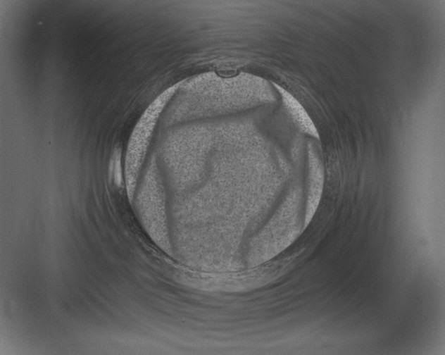 X0000082700046200702161801