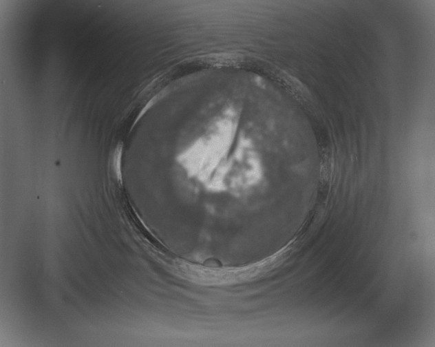 X0000082700047200702161801