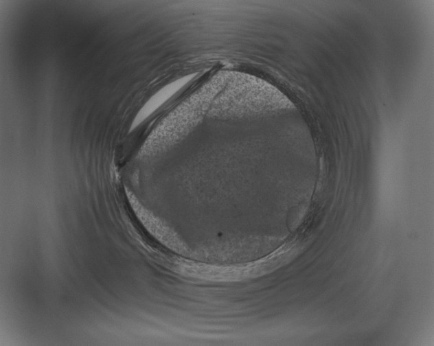 X0000082700048200702161801